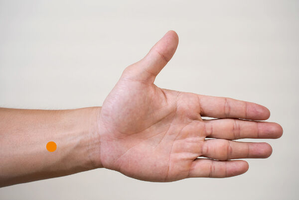 ▲▼瑞隆馬光中醫診所主治醫師鍾典育提醒夏季保健。（圖／馬光中醫提供）