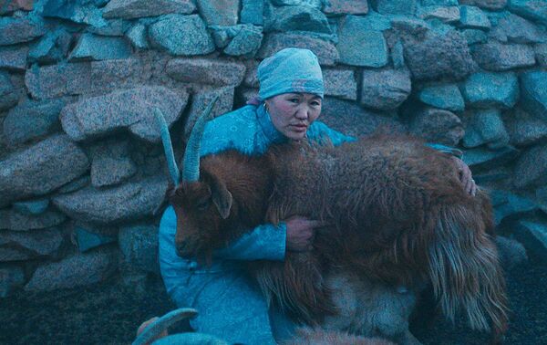 ▲「2025世界民族電影節」開幕片為蒙古國電影《狼群總在夜晚來臨》。（圖／海鵬影業提供）