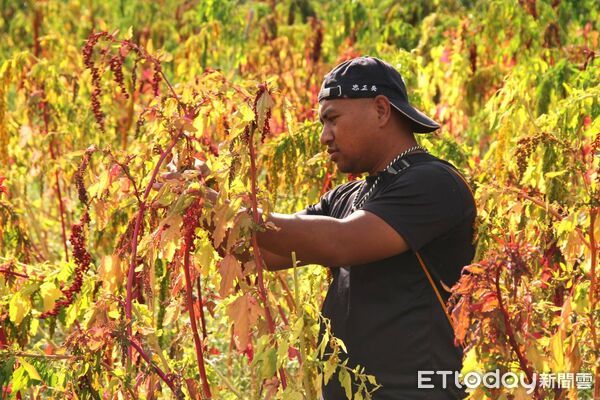 ▲守住部落最後 1%。（圖／記者楊晨東翻攝）