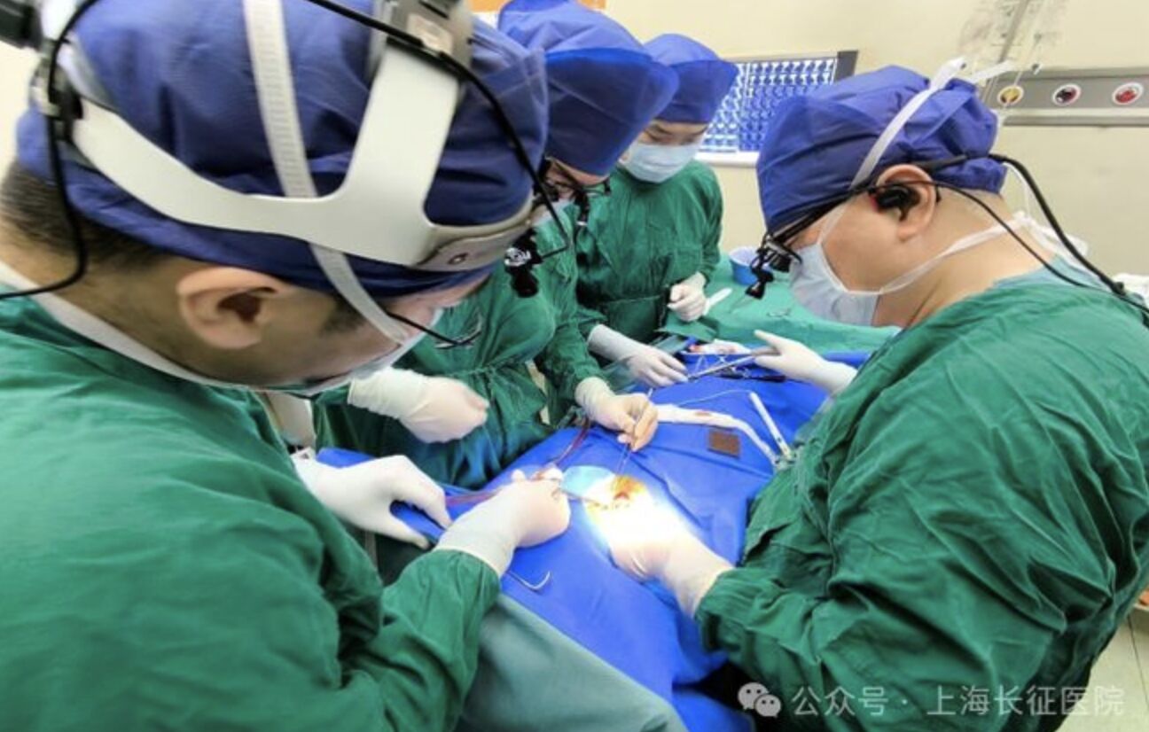 ▲一名遭機械臂重擊的患者脊椎斷裂如同「斷頭」。（圖／翻攝上海長征醫院）