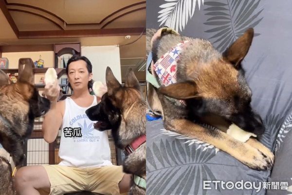 ▲。（圖／有點毛毛的／陳禔銓）