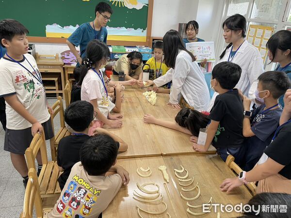 ▲▼馬偕醫大辦小小醫學營　70童探索人體構造喊有趣。（圖／馬偕醫學大學提供）