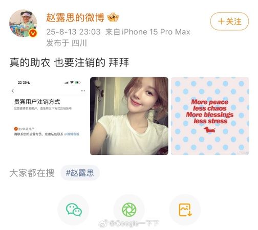 ▲趙露思發文道別。（圖／翻攝自趙露思微博）