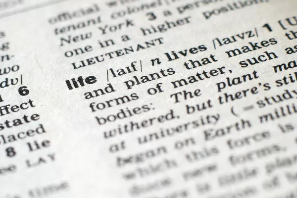 ▲▼字典,辭典。（圖／VCG）