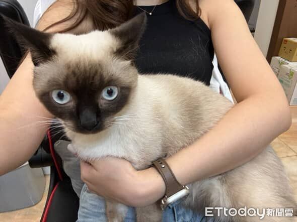 ▲。（圖／Threads@_dodo.coco提供，請勿隨意翻拍，以免侵權。）