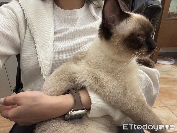 ▲。（圖／Threads@_dodo.coco提供，請勿隨意翻拍，以免侵權。）