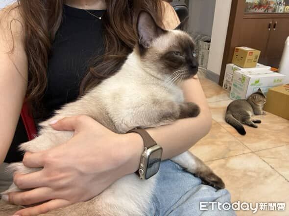 ▲。（圖／Threads@_dodo.coco提供，請勿隨意翻拍，以免侵權。）