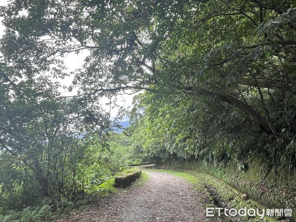 ▲▼佐倉步道依山勢而上，可欣賞奇萊平原、花東縱谷與太平洋的壯麗景致。（圖／花蓮分署提供，下同）