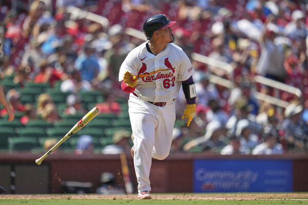 ▲▼紅雀波索。（圖／達志影像／美聯社）