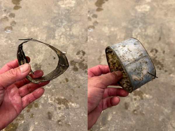 ▲烏龜套「寶特瓶」多年成8字形（圖／「可樂洗車廠」廠長陳生發提供，請勿隨意翻拍，以免侵權。）