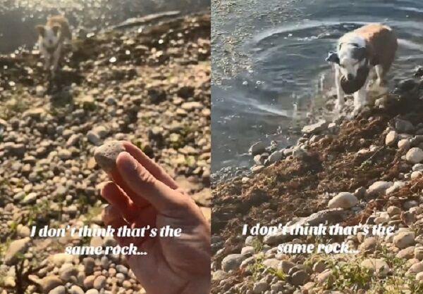 ▲。（圖／翻攝自TikTok／@collinsbrothers）