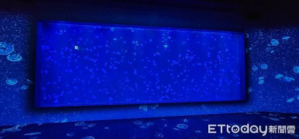 ▲台中海洋館。（圖／記者游瓊華攝）