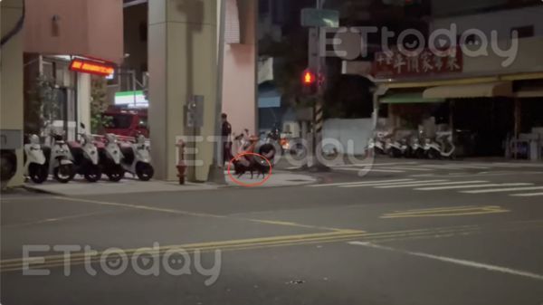 ▲員警被查出在勤務中遛「私家犬」            。（圖／記者吳奕靖翻攝）