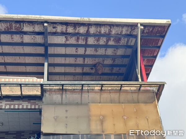 ▲▼      中平街發現巨型虎頭蜂窩　施偉政議員服務處即刻通報處理       。（圖／記者郭世賢翻攝）