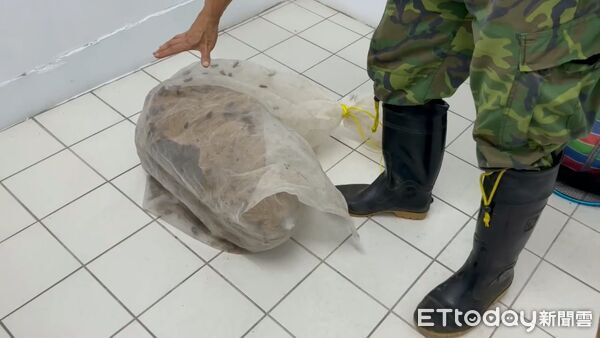 ▲▼ 中平街發現巨型虎頭蜂窩　施偉政議員服務處即刻通報處理 。（圖／記者郭世賢翻攝）