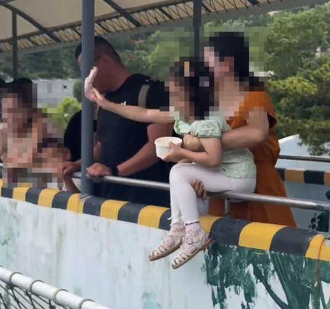 家長為了讓女兒餵食白虎，竟將孩子高舉坐上護欄。（圖／翻攝自微博）