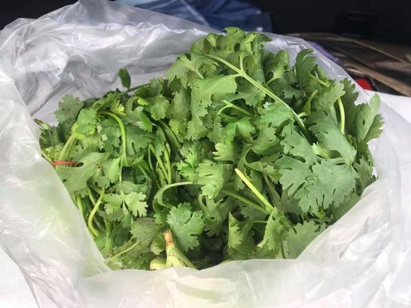 ▲▼   1公斤1280元，蔥1捆1200元          。（圖／嘉義縣布袋街區觀光發展協會 游志豪授權提供）