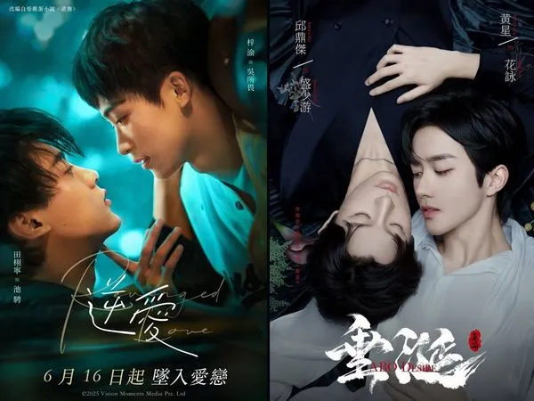 ▲▼陸廣電總局會議記錄瘋傳，內容提及「耽美劇曲線違規」。（圖／翻攝自微博）