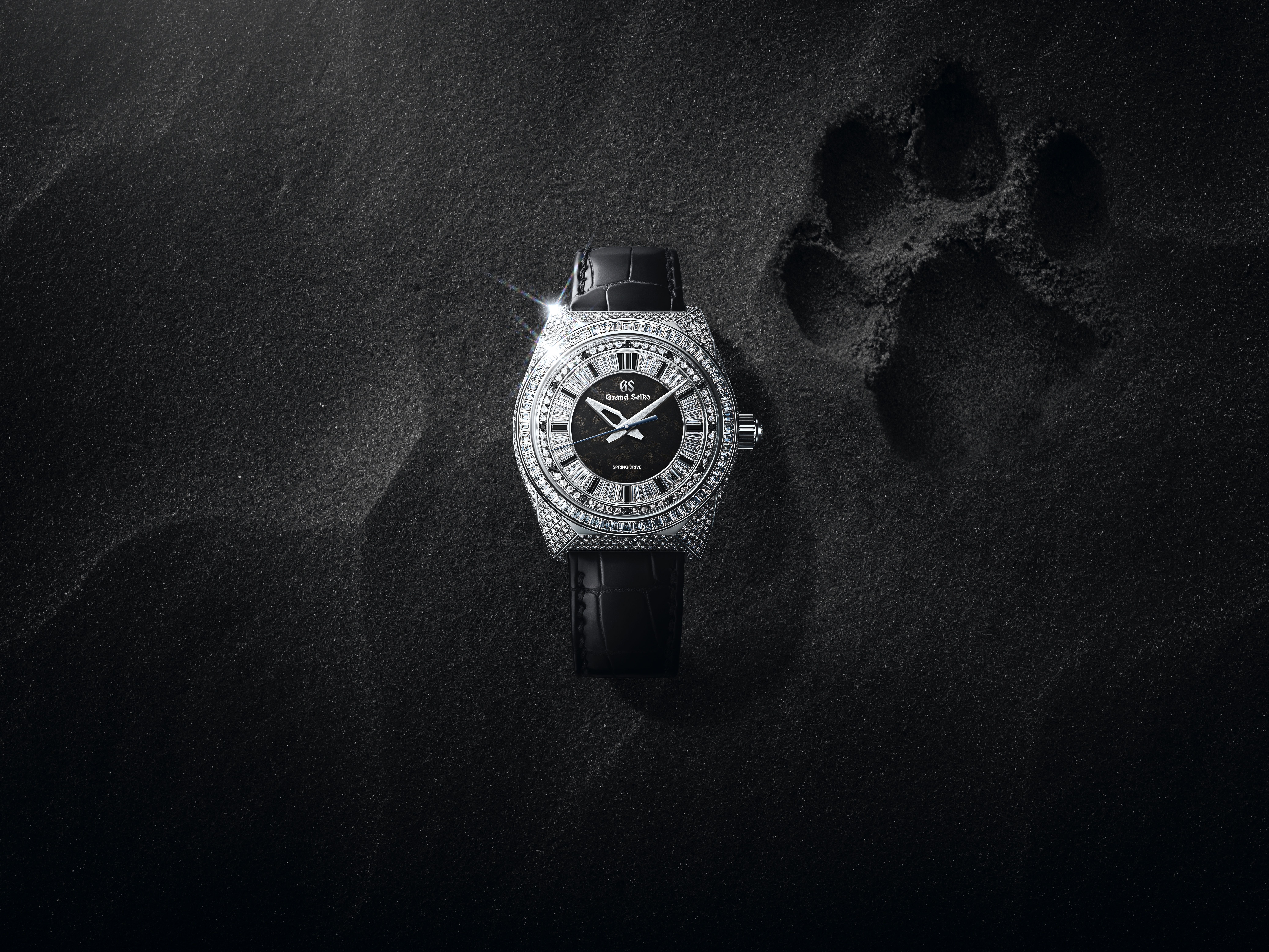 ▲▼ Grand Seiko,BVLGARI            。（圖／公關照）