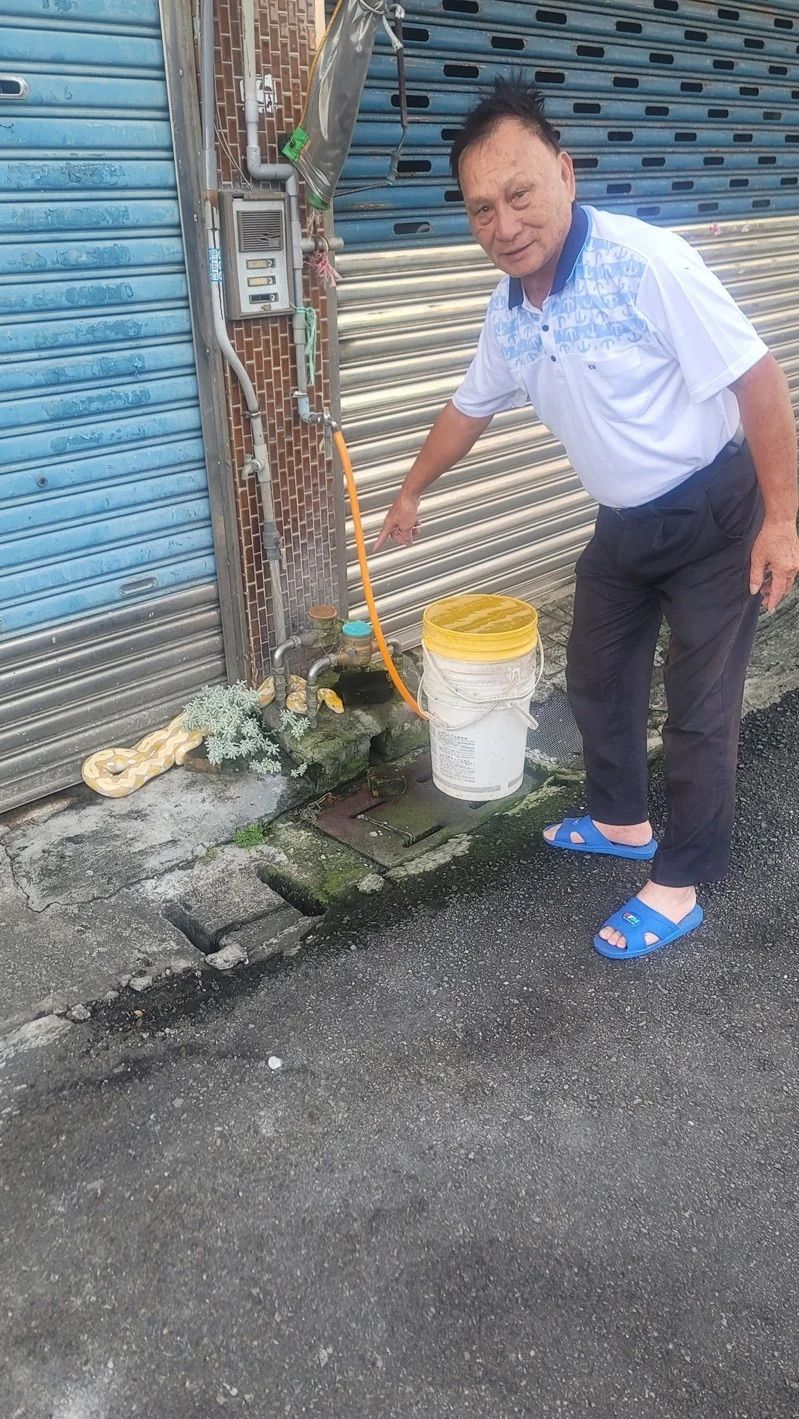 ▲苗栗縣竹南鎮一隻寵物網紋蟒逃逸2天，今天清晨被民眾發現後，里長通知洪姓飼主捉回，解除警報。（圖／記者楊永盛翻攝）