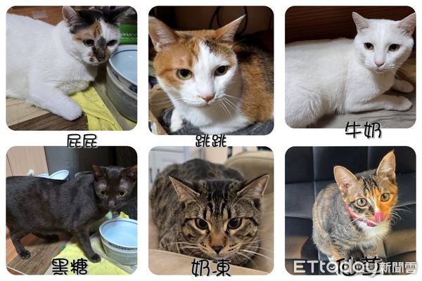 ▲。（圖／Threads@e2222252提供，請勿隨意翻拍，以免侵權。）