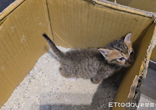 ▲。（圖／Threads@e2222252提供，請勿隨意翻拍，以免侵權。）