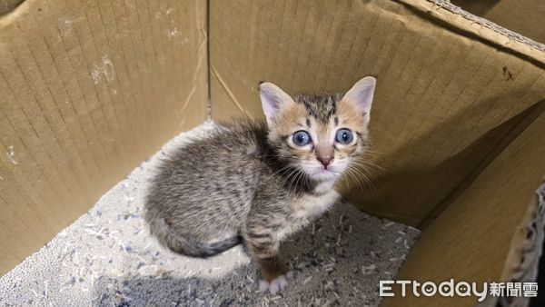 ▲。（圖／Threads@e2222252提供，請勿隨意翻拍，以免侵權。）