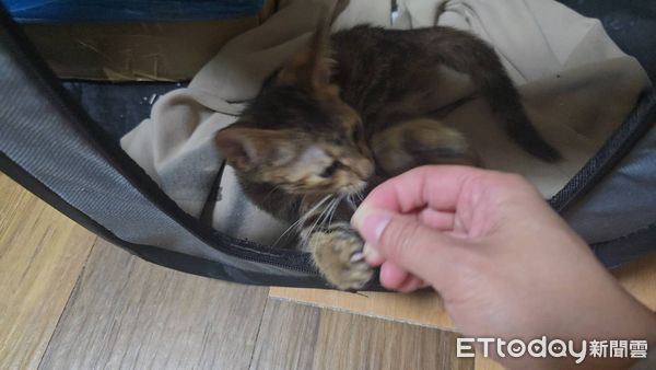 ▲。（圖／Threads@e2222252提供，請勿隨意翻拍，以免侵權。）