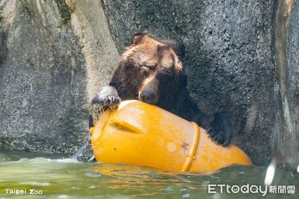 ▲。（圖／臺北市立動物園提供）