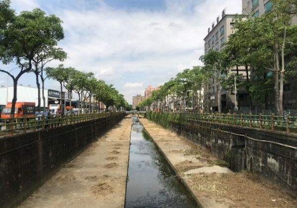 ▲紅冠水雞現蹤中和藤寮坑溝 築巢下蛋見證生態復甦。（圖／新北市水利局提供）