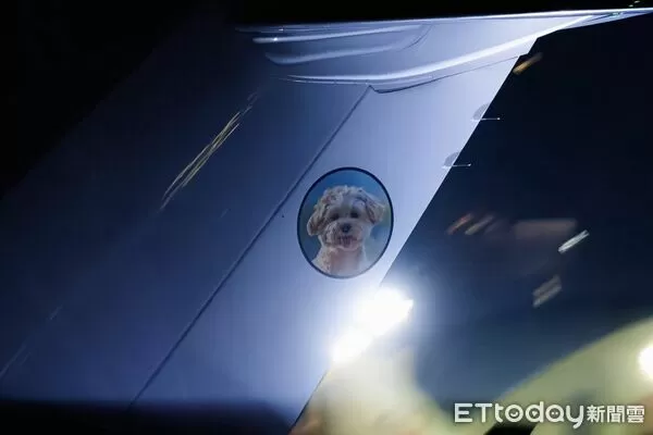 飛機尾翼有狗狗。（圖／粉專「Taiwan Aviation 小謙日常」提供）