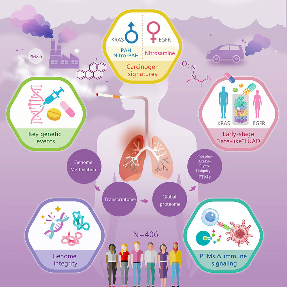 ▲▼中研院研究揭示，肺腺癌風險的性別差異。（圖／中研院提供）