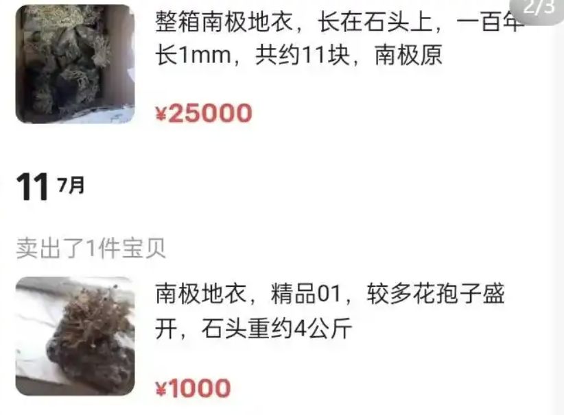 ▲大陸二手交易平台驚現「南極地衣」，疑為南極科考隊員夾帶運出。（圖／翻攝極目新聞）