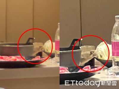 高雄火鍋店驚見「料理鼠王」上桌啃高麗菜 衛生局稽查開罰