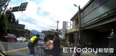 嘉義男遭虎頭蜂螫傷「癱軟昏迷」！妻焦急求助　警消合作搶命