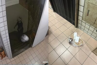 您的餐點飛來了！外送員送餐「直接砸牆上」　女客理論反遭恐嚇