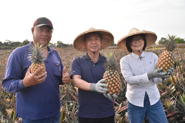 ▲▼民進黨湧言會高雄市議員林智鴻及黃飛鳳表態挺立委許智傑選高雄市長。（圖／立委許智傑國會辦公室提供）