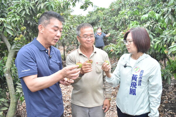 ▲▼民進黨湧言會高雄市議員林智鴻及黃飛鳳表態挺立委許智傑選高雄市長。（圖／立委許智傑國會辦公室提供）