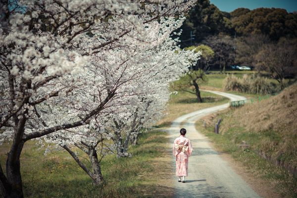 福岡機場是前往九州旅遊的最佳起點，但機票價格居高不下。（東方IC）