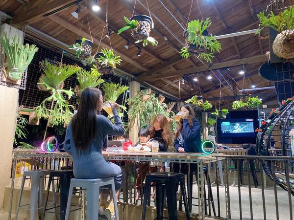 ▲彰化埤頭鄉「與你蕨緣」佔地2000多坪。（圖／翻攝自Facebook／與你蕨緣）