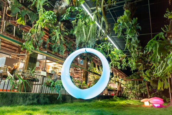 ▲彰化埤頭鄉「與你蕨緣」佔地2000多坪。（圖／翻攝自Facebook／與你蕨緣）