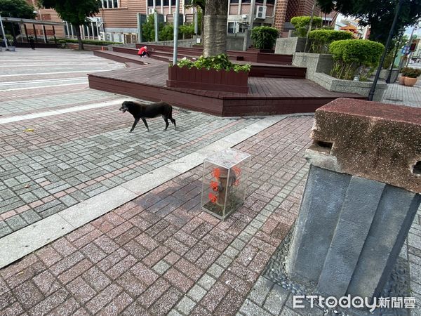 ▲彰化藝術館前的消防栓意外爆紅。（圖／民眾提供）