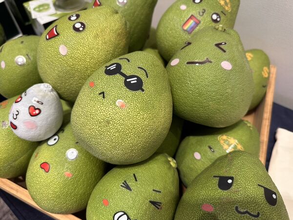 ▲八里文旦柚皮薄多汁 預購優惠限時開跑。（圖／新北市農業局提供）