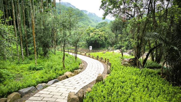 ▲新北三峽鹿母潭溪復建工程。（圖／新北市農業局提供）