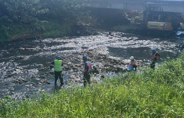 ▲桃園溪海里賴厝橋下發現大量魚屍