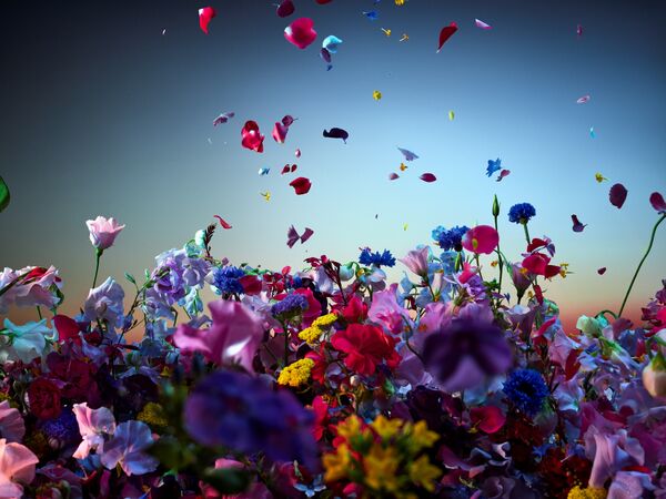 ▲▼香水。（圖／品牌提供）