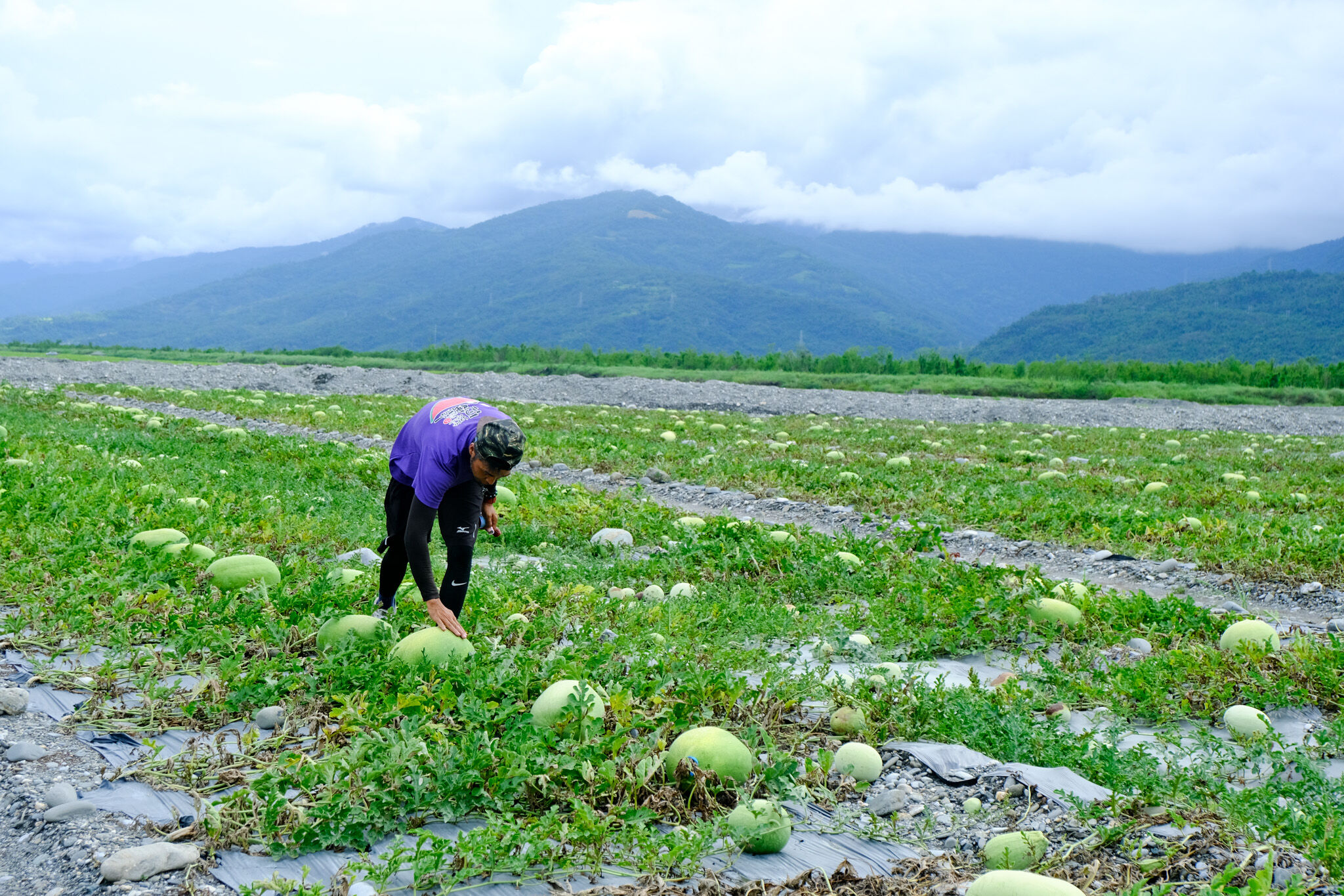 ▲金色三麥西瓜調酒。（圖／品牌提供）
