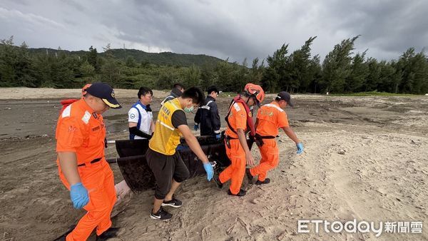 ▲▼          海口沙灘驚現擱淺海豚  海巡同仁即刻投入搶救   。（圖／記者陳崑福翻攝）