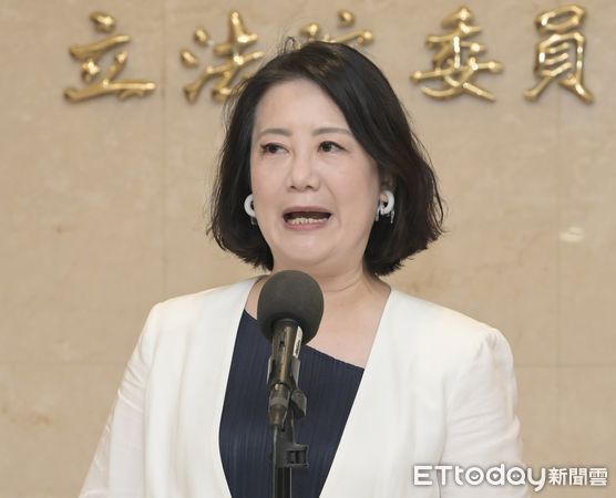 ▲▼吳思瑤 時事聯訪  立法院。（圖／記者屠惠剛攝）