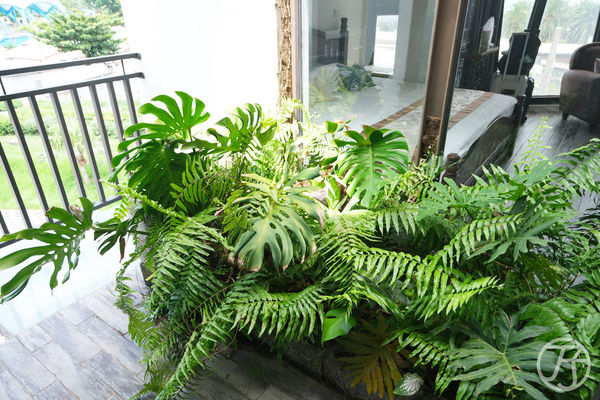 ▲▼光之角落 SunnyCorner B&B。（圖／部落客JJ.Hsu授權提供）